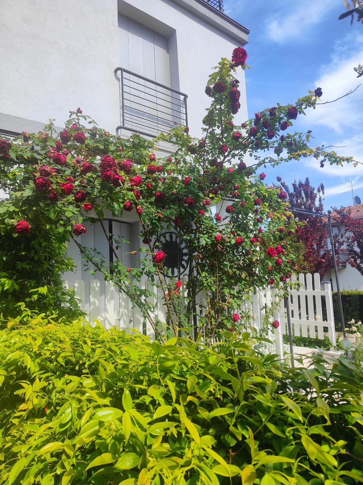 Villa Marianna Garda Lake Πεσκιέρα ντελ Γκάρντα Εξωτερικό φωτογραφία